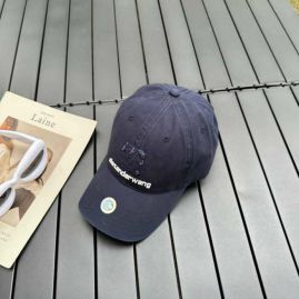 Picture for category Alexander Wang Cap